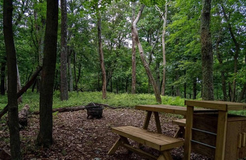 Berkeley Springs Alquiler De RV | Tentrr State Park Site - WV Cacapon State Park - Site I - Single Camp