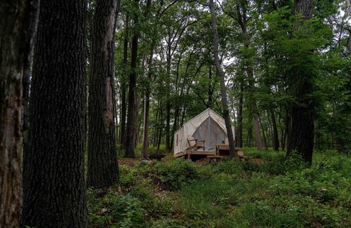 Berkeley Springs Alquiler De RV | Tentrr State Park Site - WV Cacapon State Park - Site B (1.6 miles past Cacapon