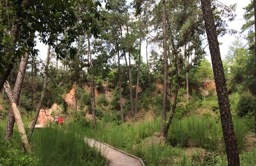 Talisheek Alquiler De RV | Tentrr State Park Site - Louisiana Bogue Chitto State Park - Riverview E - Singl