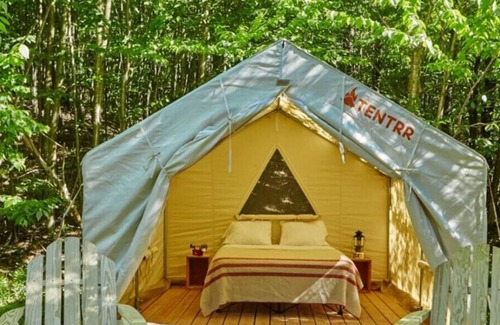 Talisheek Alquiler De RV | Tentrr State Park Site - Louisiana Bogue Chitto State Park - Bike Trail C - Sing