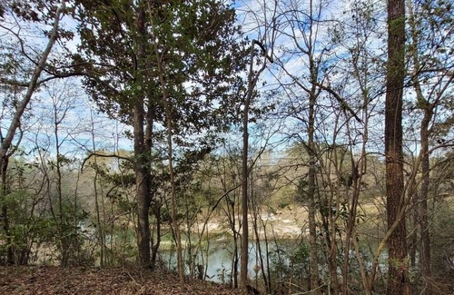 Talisheek Alquiler De RV | Tentrr State Park Site - Louisiana Bogue Chitto State Park - Upland Cliff H - Si