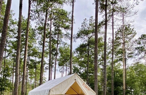 Talisheek Alquiler De RV | Tentrr State Park Site - Louisiana Bogue Chitto State Park - Gorge Trail N - Sin