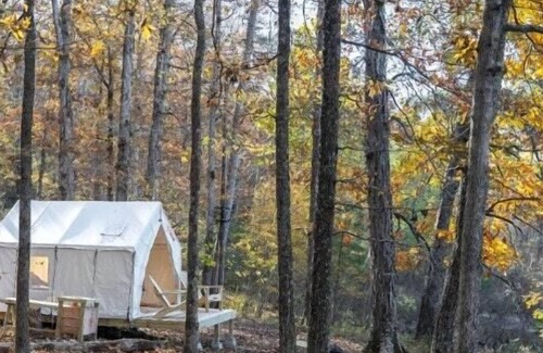 Dennis Alquiler De RV | Tentrr State Park Site - Mississippi Tishomingo State Park - Haynes Lake South C