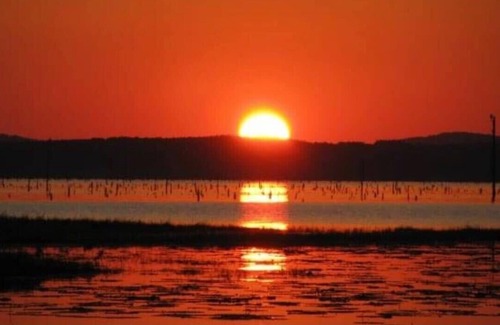Zwolle Alquiler De RV | Tentrr State Park Site - Louisiana North Toledo Bend State Park - Lakeview D - S