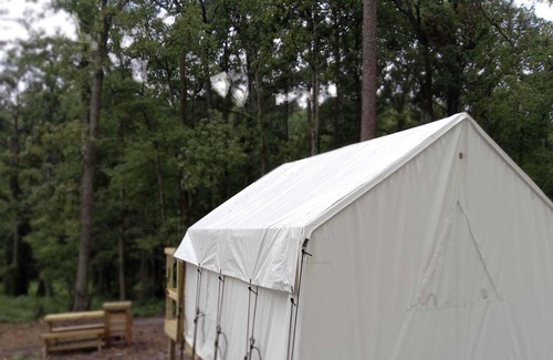 Zwolle Alquiler De RV | Tentrr State Park Site - Louisiana North Toledo Bend State Park - Forest Glade E