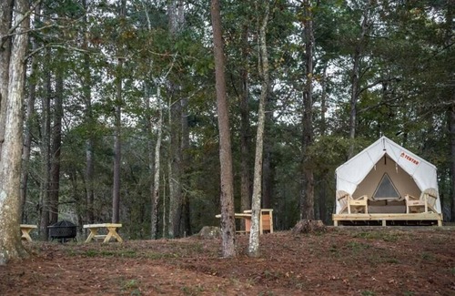 McComb Alquiler De RV | Tentrr State Park Site - Mississippi Percy Quin State Park - Eastside Lakeview A