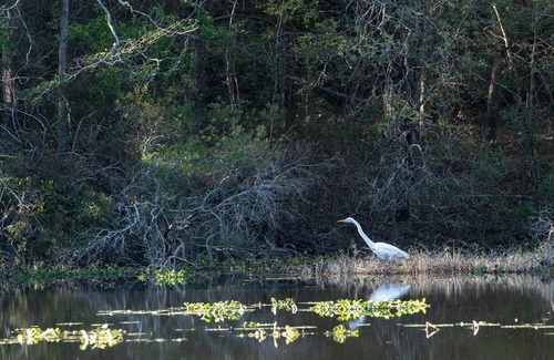 McComb Alquiler De RV | Tentrr State Park Site - Mississippi Percy Quin State Park - Southside Lakeview
