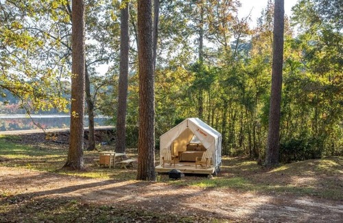 Morton Alquiler De RV | Tentrr State Park Site - Mississippi Roosevelt State Park - Tall Trees G