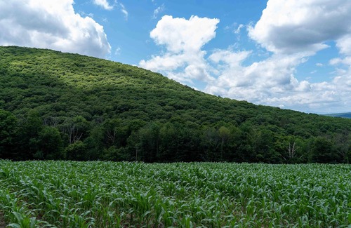 Copake Falls Alquiler De RV | Tentrr State Park Site - NY Taconic State Park: High Valley Rd Site A