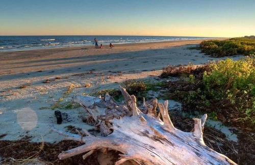 Galveston Otro | Tentrr State Park Site - Texas Galveston Island- Beachside A- Single Camp