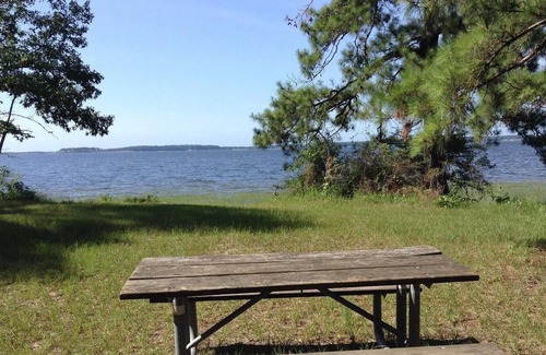 Anacoco Alquiler De RV | Tentrr State Park Site - Louisiana South Toledo Bend State Park - Site E - Sing