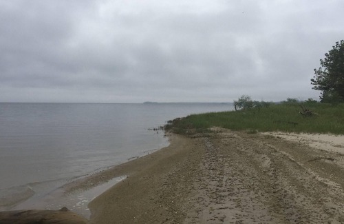 Anacoco Alquiler De RV | Tentrr State Park Site - Louisiana South Toledo Bend State Park - Site E - Sing