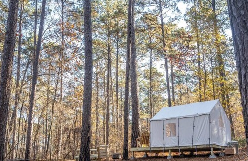 Quitman Alquiler De RV | Tentrr State Park Site - Mississippi Clarkco State Park - Woodland B - Double Ca