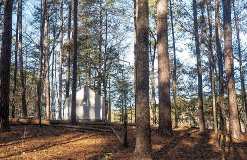 Quitman Alquiler De RV | Tentrr State Park Site - Mississippi Clarkco State Park - Lakeview C - Single Ca