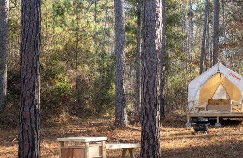 Quitman Alquiler De RV | Tentrr State Park Site - Mississippi Clarkco State Park - Trailside E - Single C