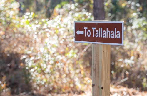 Quitman Alquiler De RV | Tentrr State Park Site - Mississippi Clarkco State Park - Trailside E - Single C