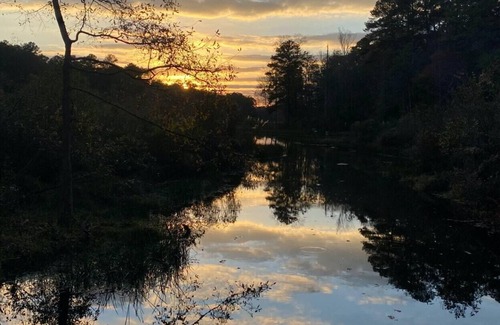 Quitman Alquiler De RV | Tentrr State Park Site - Mississippi Clarkco State Park - Trailside F - Single C