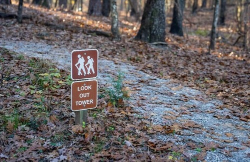 Quitman Alquiler De RV | Tentrr State Park Site - Mississippi Clarkco State Park - Highridge G - Single C
