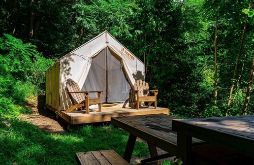 Ansted Alquiler De RV | Tentrr State Park Site - WV Hawk's Nest State Park - Site H - Single Camp