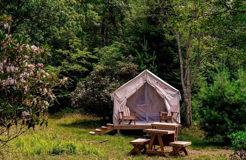 Davis Alquiler De RV | Tentrr State Park Site - WV Blackwater Falls State Park - Site D - Single Camp "