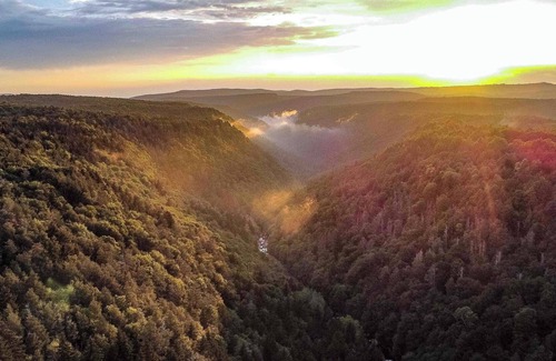 Davis Alquiler De RV | Tentrr State Park Site - WV Blackwater Falls State Park - Site D - Single Camp "