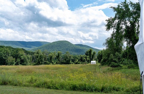 Copake Falls Alquiler De RV | Tentrr State Park Site - NY Taconic State Park: Orphan Rd Site B