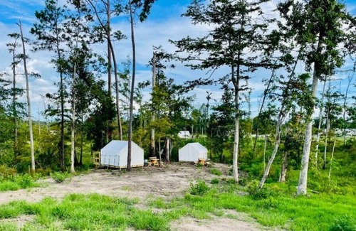 Lake Charles Alquiler De RV | Tentrr State Park Site - Louisiana Sam Houston Jones State Park - Lagoon View D