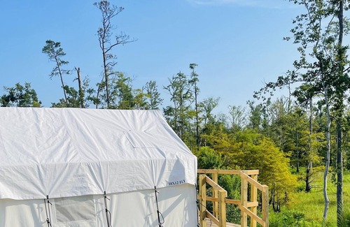 Lake Charles Alquiler De RV | Tentrr State Park Site - Louisiana Sam Houston Jones State Park - Lagoon View E