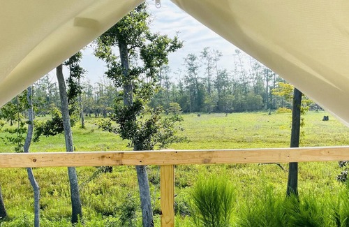 Lake Charles Alquiler De RV | Tentrr State Park Site - Louisiana Sam Houston Jones State Park - Lagoon View E