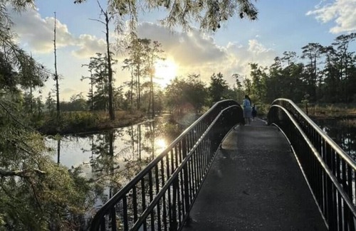 Lake Charles Alquiler De RV | Tentrr State Park Site - Louisiana Sam Houston Jones State Park - Riverview H Si