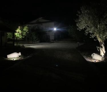 Sant'Elia Fiumerapido Cama Y Desayuno | Tenuta degli Uliveti