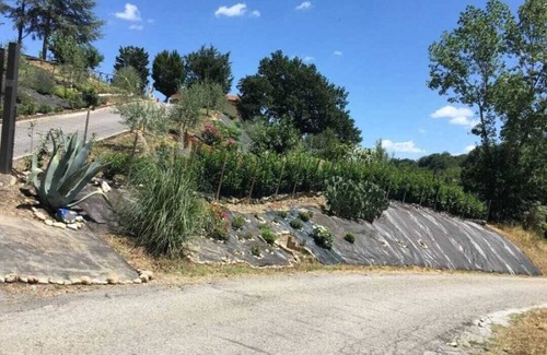 Civitaquana Casa | Tenuta Di Carlo - Civitaquana (PE) CIN IT068013C2TBDPWNP9- CIR 068013CVP0001