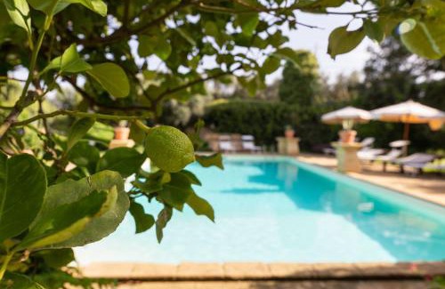 Mockarta Apartamento | Tenuta Donna Vittoria - Edera