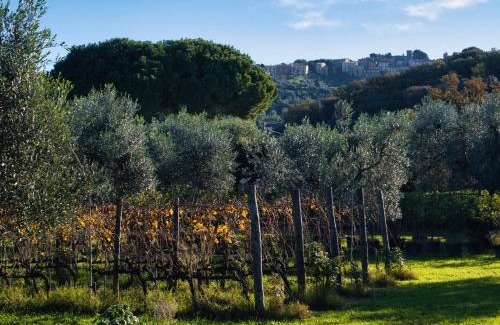 San Giusto Casa | Tenuta Merlò