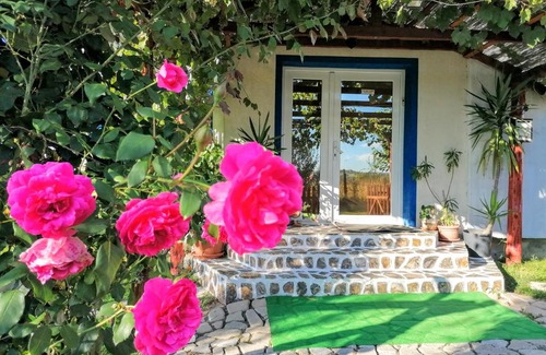 Baile Felix Casa | Teo Guest Rooms