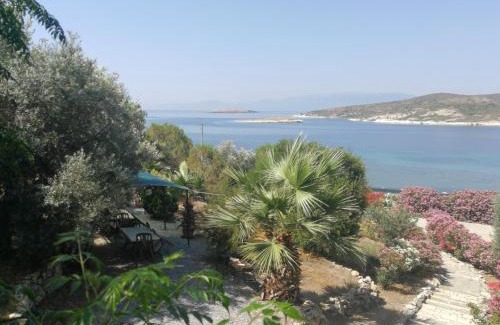 Foca Casa | Teras Motel