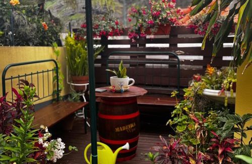 Sao Vicente Casa | Terra Chã Cottage,FEEL Home,