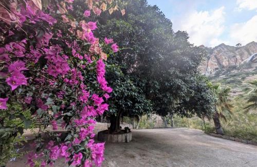 Pollina Apartamento | Terra Mia