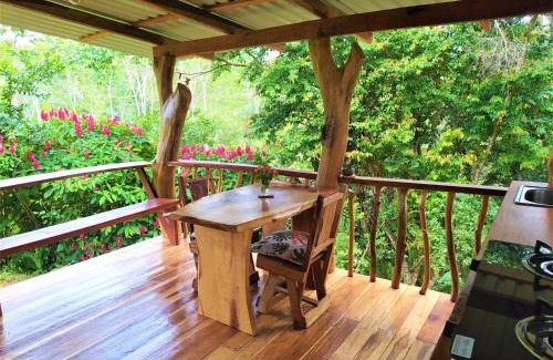 Chiguata Casa | Terra NaturaMa - off grid living in the jungle