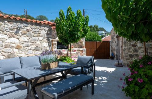 Vasa Koilaniou Casa | Terra Nobile, 3BR Mountain Stone Escape BBQ Fireplace