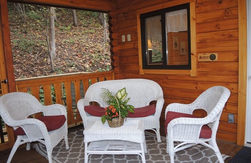 Cooperstown Cabina | Terrace Lawn Cabin - Recently built cabin, 1/2 mile to Dreams Park, shared pool