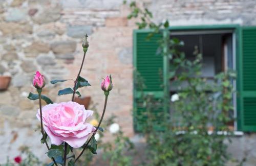 Monte del Lago Casa | Terrace on the Lake