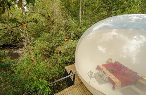 San Francisco Otro | TERRAMAGA glamping
