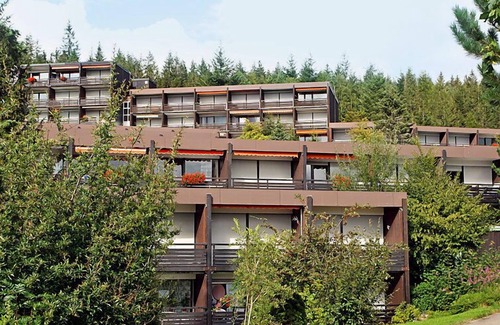 Schonach im Schwarzwald Apartamento | Terrassenpark by Interhome