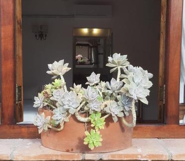 San Carlos Cama Y Desayuno | Terraza del Molle