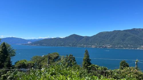 Brezzo di Bedero Apartamento | Terrazza sul lago