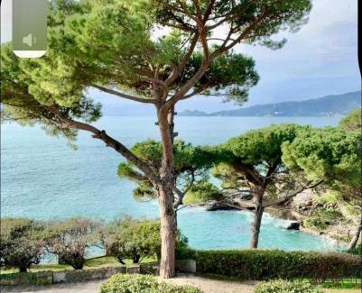 Zoagli Apartamento | Terrazza Villa Margherita