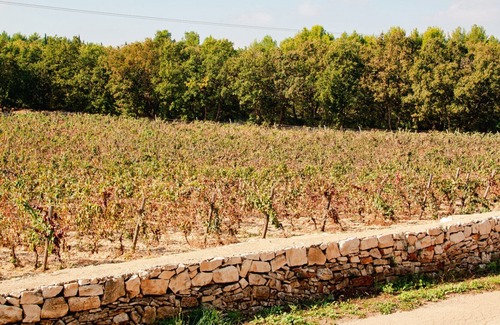 Montegrosso Cama Y Desayuno | Terre di Sveva - Luxury stay in Puglia