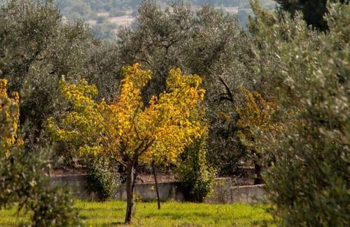 Montegrosso Cama Y Desayuno | Terre di Sveva - Luxury stay in Puglia