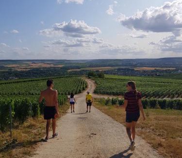 Avenay-Val-d'Or Cama Y Desayuno | Terres Jaunes